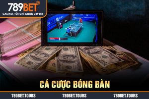 cá cược bóng bàn