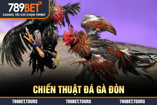 Chiến thuật đá gà đòn