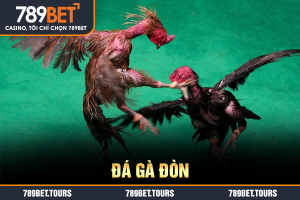 đá gà đòn